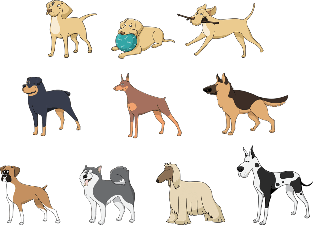 Most Popular Dog Breeds For Community Living